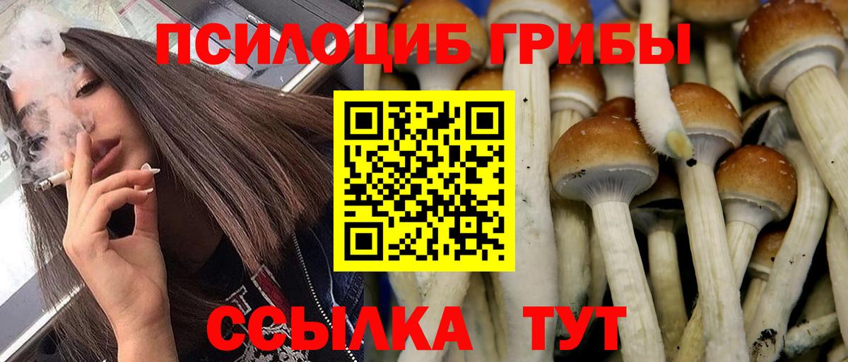 Псилоцибиновые грибы прущие грибы  Вход с VPN  Алексин 